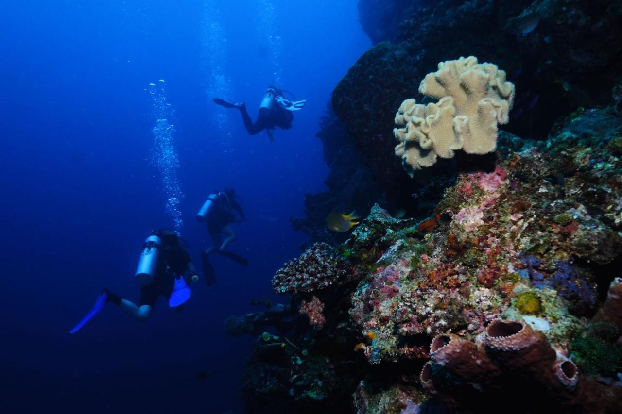 Sanctum Una Una Eco Dive Resort Pulau Unauna Exterior photo