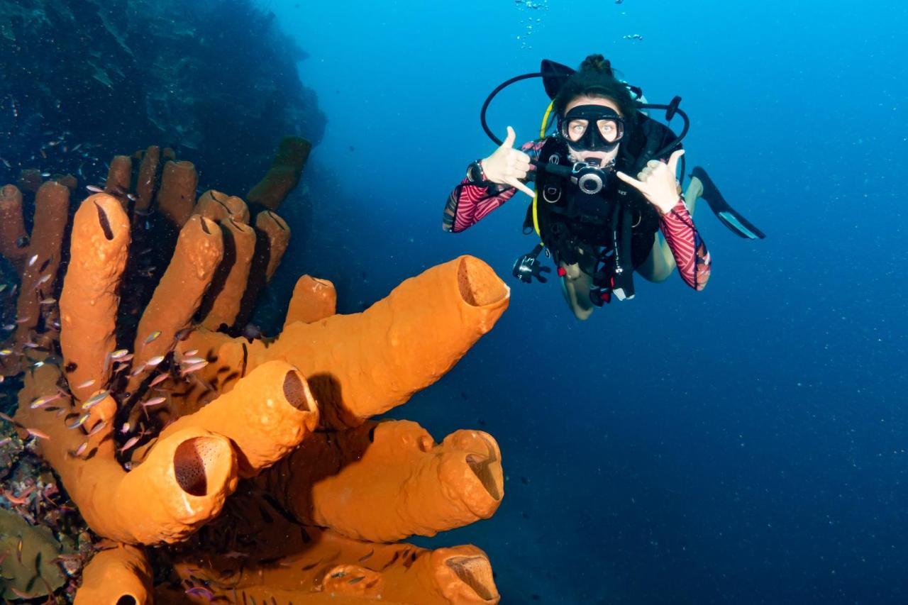 Sanctum Una Una Eco Dive Resort Pulau Unauna Exterior photo