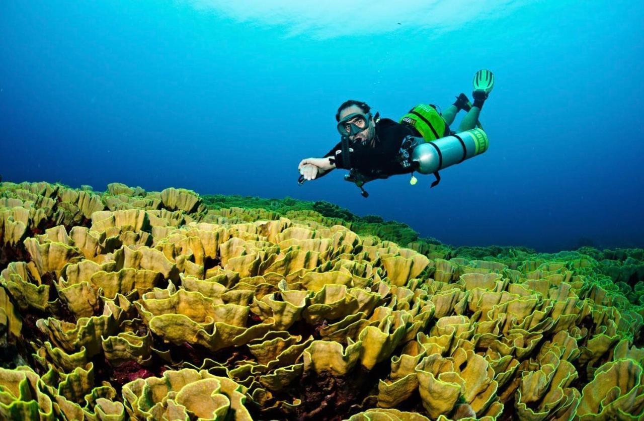 Sanctum Una Una Eco Dive Resort Pulau Unauna Exterior photo